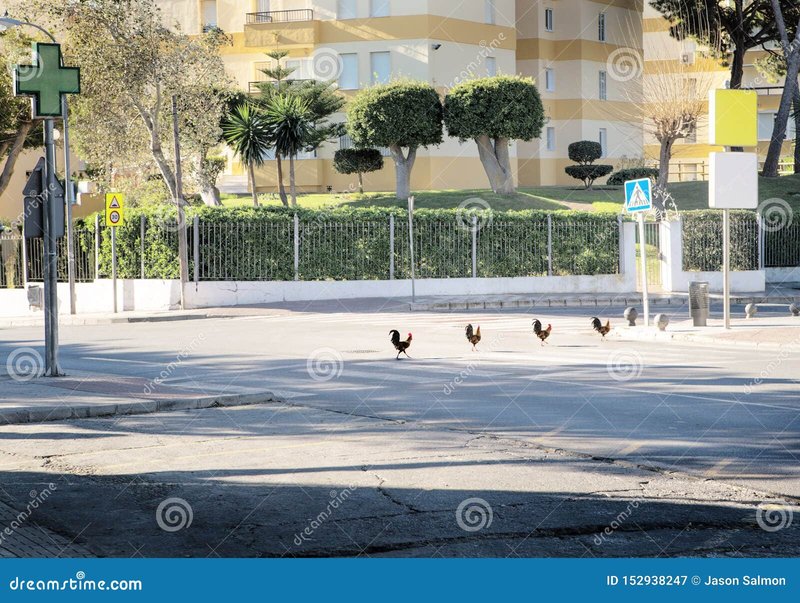 Juega al famoso juego de mesa Chicken Road en línea en España - overview