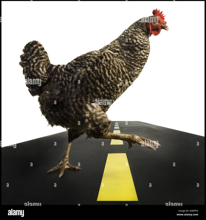 Chicken road casino, jugar chicken road